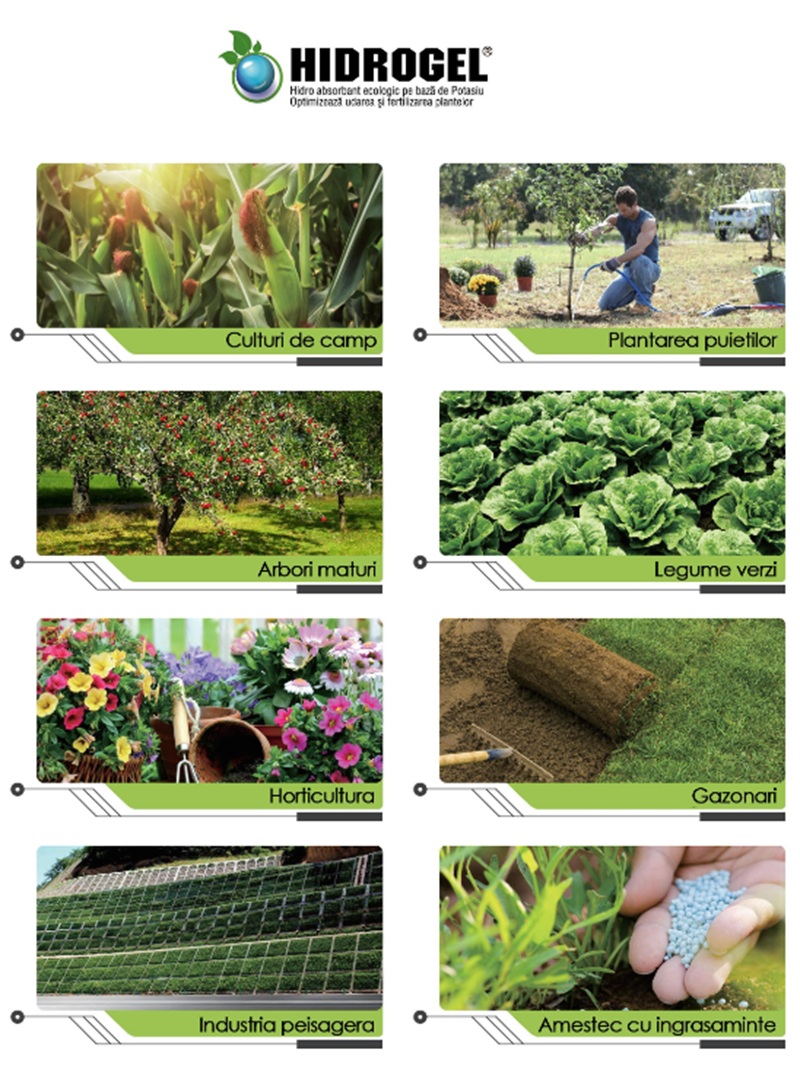 Hidrogelul - aplicare si exemple de utilizare