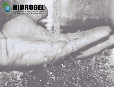 Cum folosim hidrogelul la plantarea arborilor, arbuștilor și pomilor fructiferi?