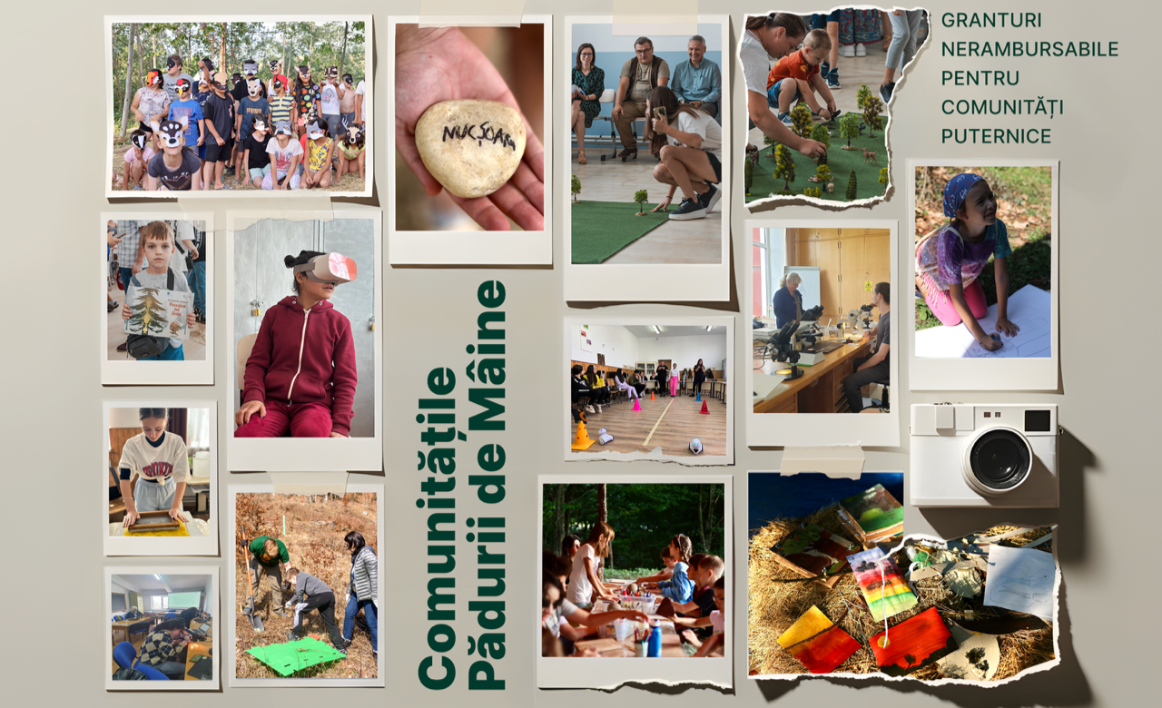 Programul de granturi nerambursabile Comunitățile Pădurii de Mâine începe a patra ediție: granturi între 3.000 și 30.000 de Euro