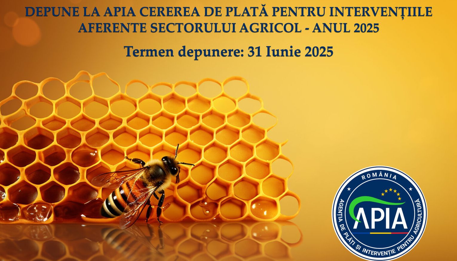 Comunicat APIA: Apicultorii sunt așteptați la APIA să depună Cereri de plată pentru intervenţiile aferente sectorului apicol 2025