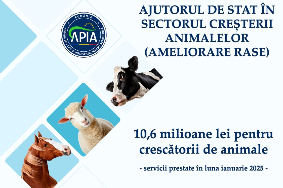Sprijin financiar în valoare de peste 10,6 milioane lei pentru crescătorii de animale