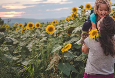 Floarea soarelui – Fertilizarea de bază asigură un start bun culturii !