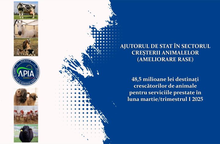 Sprijin financiar în valoare de peste 48,5 milioane lei pentru crescătorii de animale