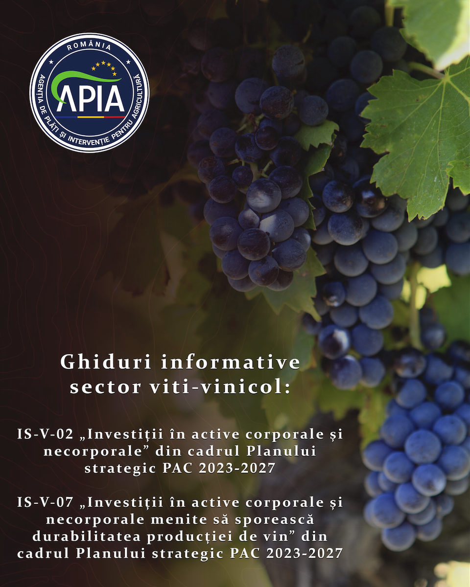 Două noi Ghiduri informative pentru sectorul viti-vinicol