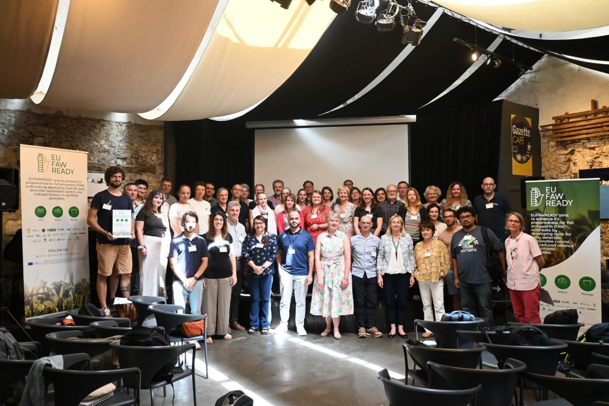 EUFAWREADY: Fermierii europeni se pregătesc pentru combaterea viermelui frunzei de porumb*