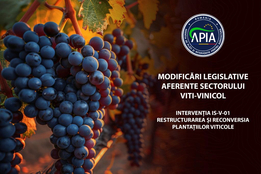 Modificări în legislația aferentă sectorului vitivinicol Intervenția IS-V-01 – Restructurarea și reconversia plantațiilor viticole