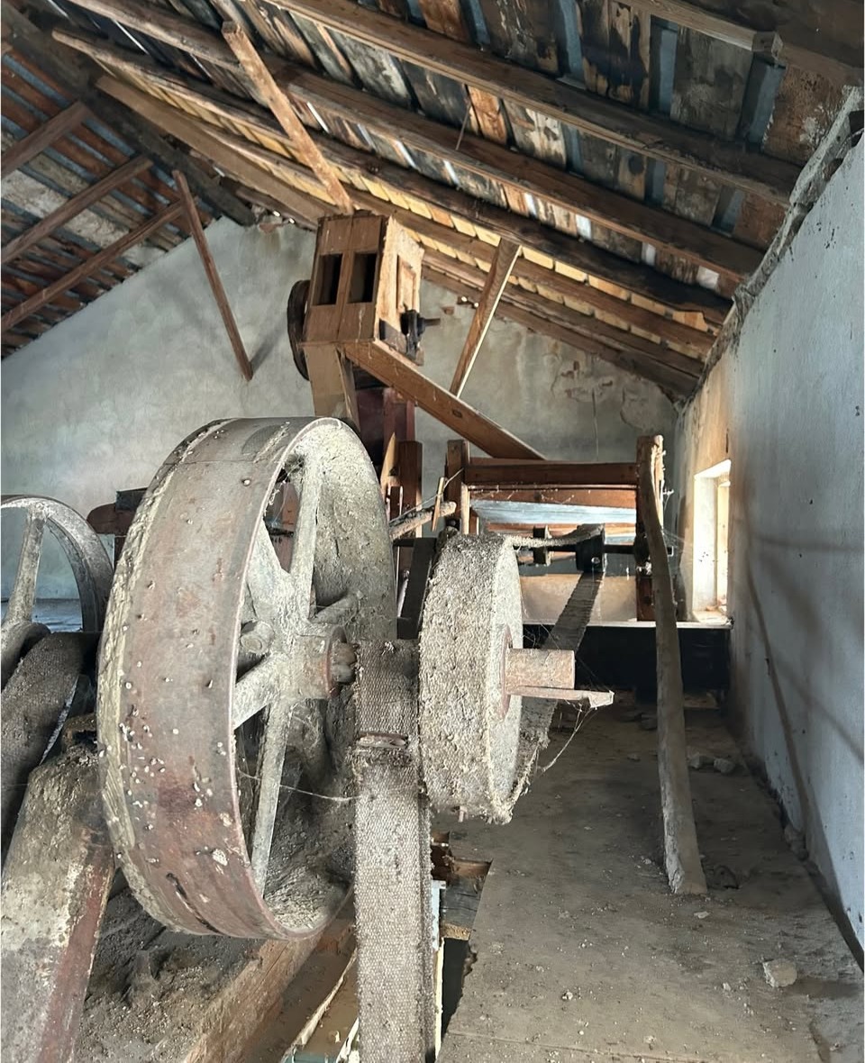 Proiect unic în România: o moară veche de lângă Vulcanii Noroioși devine centru educațional culinar Slow Food Buzău