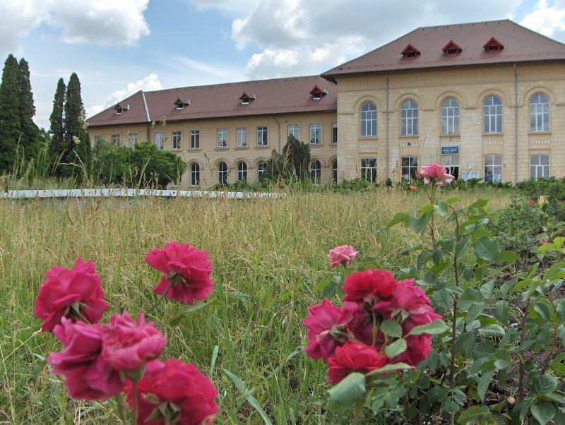 Scrisoare deschisa: Nu îngropați Liceele Agricole și rădăcinile mediului rural