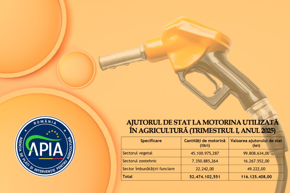 APIA plătește peste 116 milioane lei pentru motorina aferentă trimestrului I al anului 2025