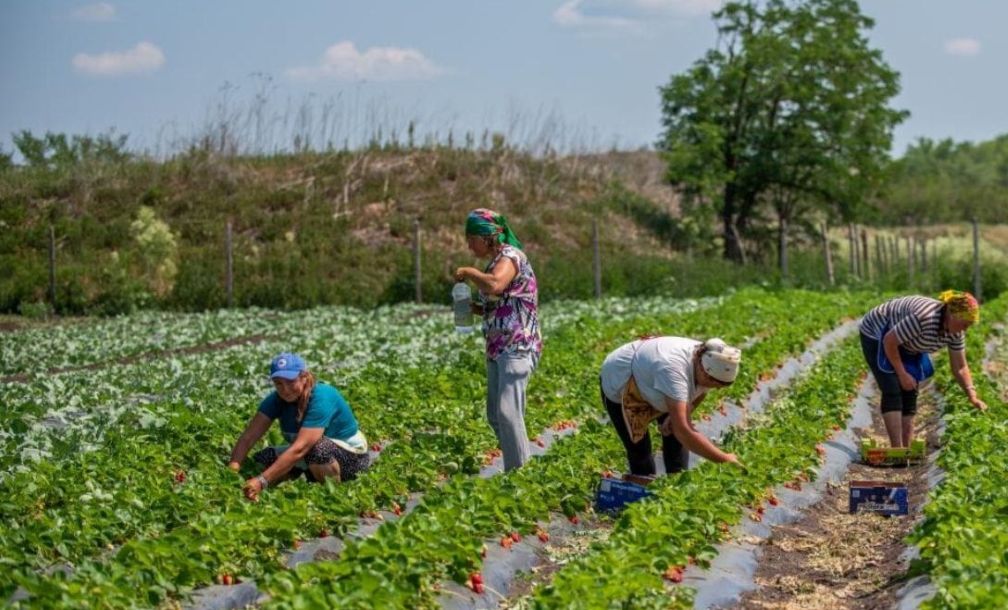 Ziua Internațională a Femeilor din Mediul Rural