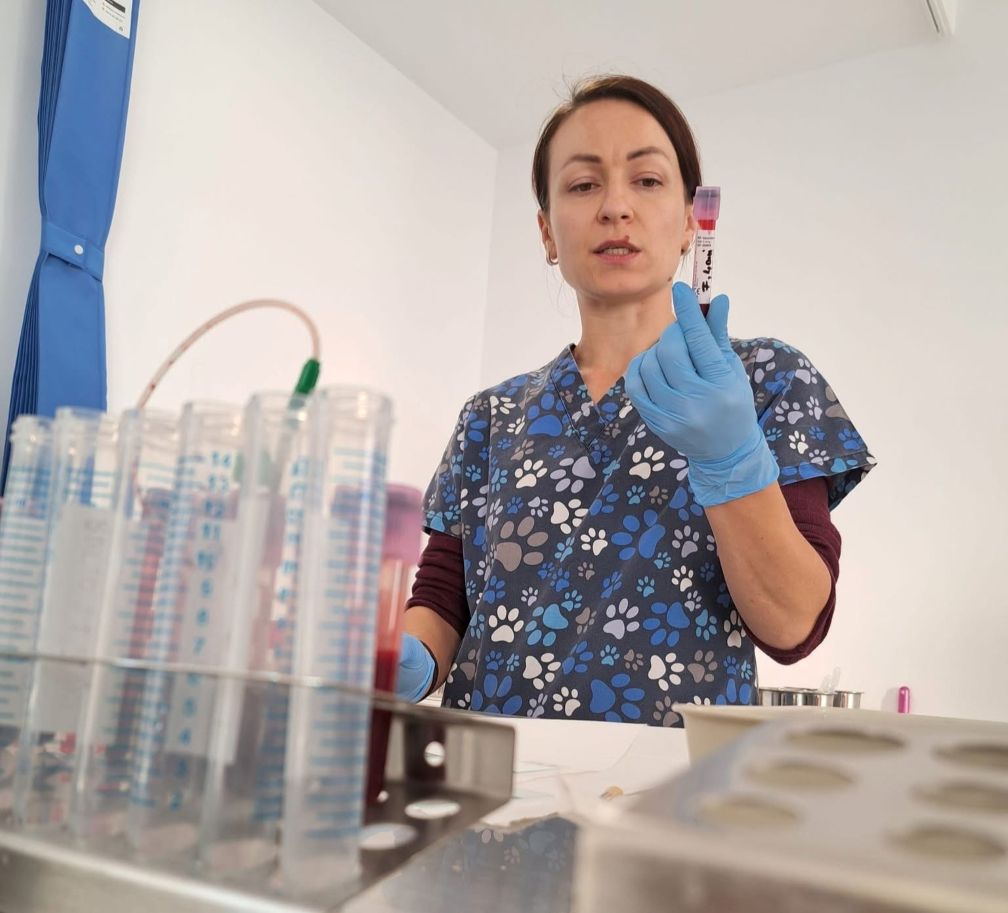 Asist. dr. Georgiana Deak, primul Diplomat european în Parazitologie Veterinară de la USAMV Cluj-Napoca