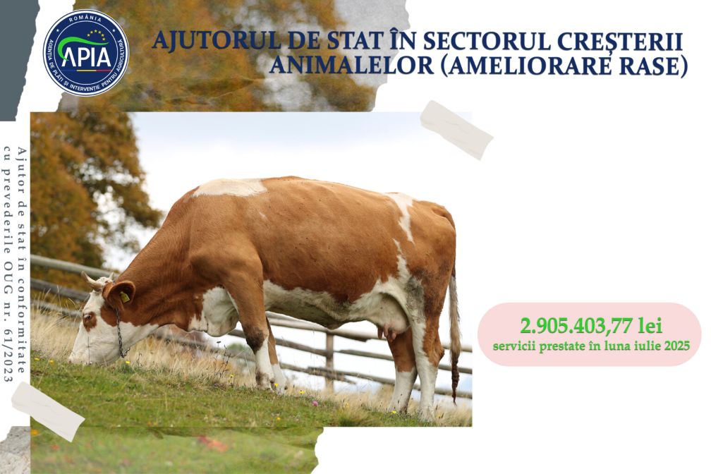 Sprijin financiar de peste 2,9 milioane lei pentru crescătorii de animale