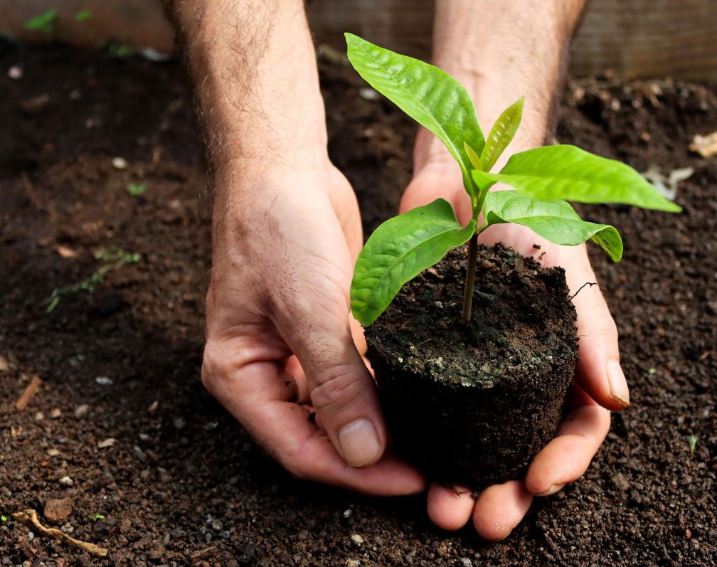 Ordonanța privind produsele de protecție a plantelor