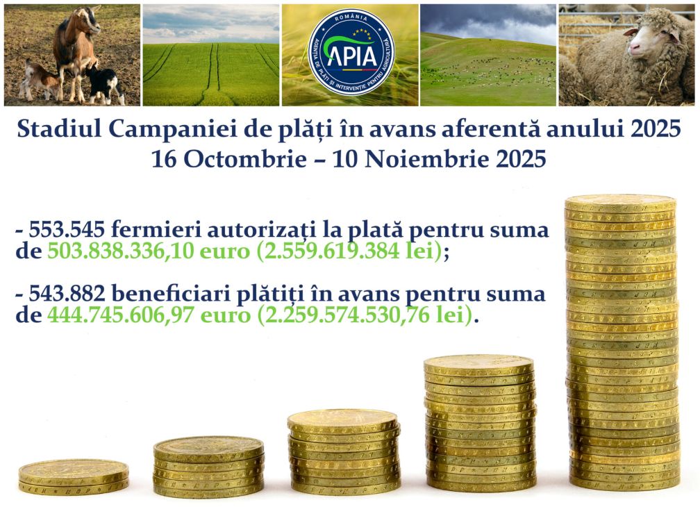 Stadiul Campaniei de plăți în avans aferentă anului 2025