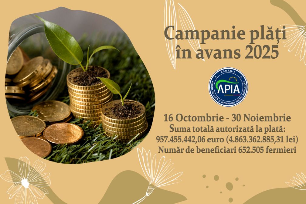 APIA finalizează plățile în avans pentru Campania 2025: peste 957,4 milioane euro ajung în conturile fermierilor