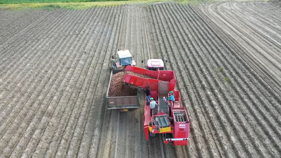 Fermierii români adoptă soluții biologice pentru o productivitate mai rezilientă și mai ridicată a culturii de cartofi