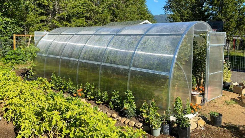 De la 1 ianuarie 2026, fermierii vor plăti taxe mai mari pentru solarii, silozuri și depozite!