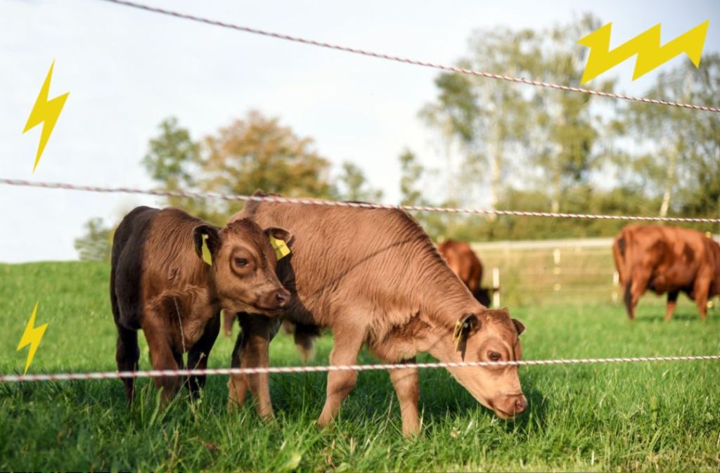 Programul AFM pentru garduri electrice