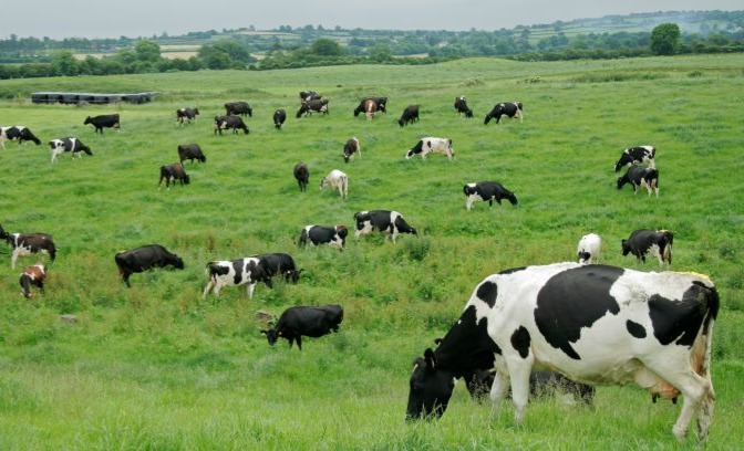 Lege nouă: Înființarea registrului electronic al pașunilor la APIA