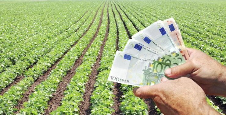 APIA Mureș: subvenții APIA achitați fermierilor și crescătorilor de animale din județul Mureș