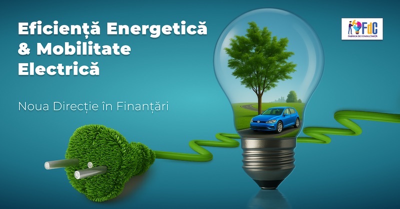 Fabrica de Consultanță: Proiecte de succes cu fonduri nerambursabile