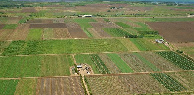 Fragmentarea terenurilor agricole din România, un avantaj ignorat