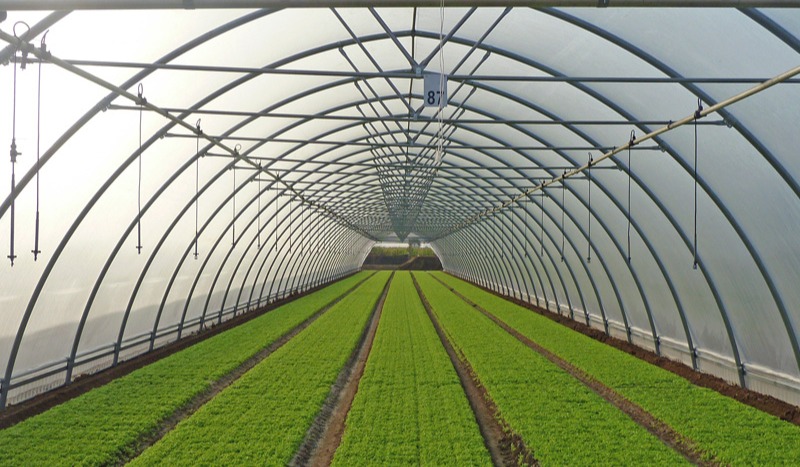 Clarificări privind taxa pe sere și solarii: Eliminare definitivă sau doar o suspendare temporară?