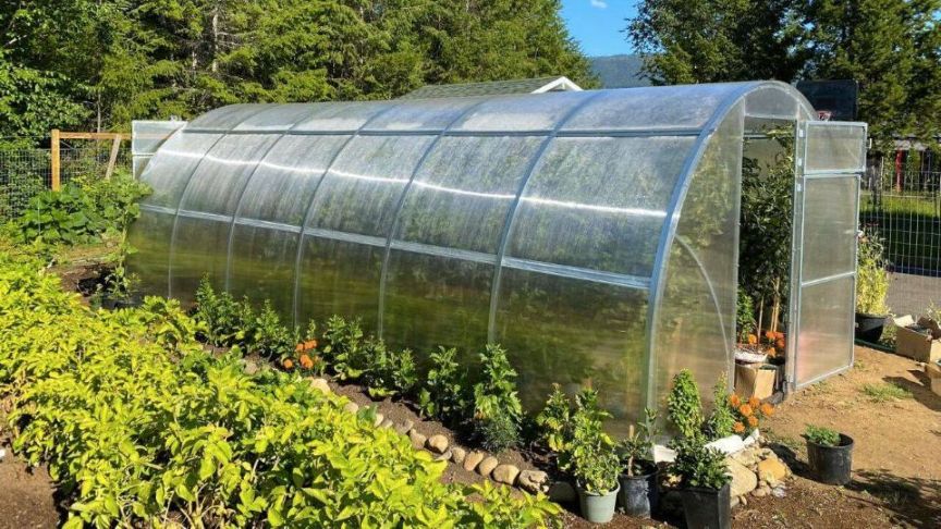 Fermierii români fac apel către Președintele Nicușor Dan pentru reexaminarea noilor taxe și impozite