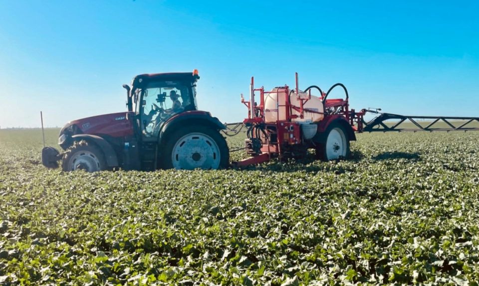 Câștigătoarea TalentA promovează agricultură sustenabilă în România printr-un proiect de măcinare a cerealelor pe piatră