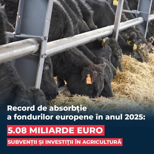 Anunțul ministrului Florin Barbu despre absorbția fondurilor europene în 2025 — 13 ianuarie 2026