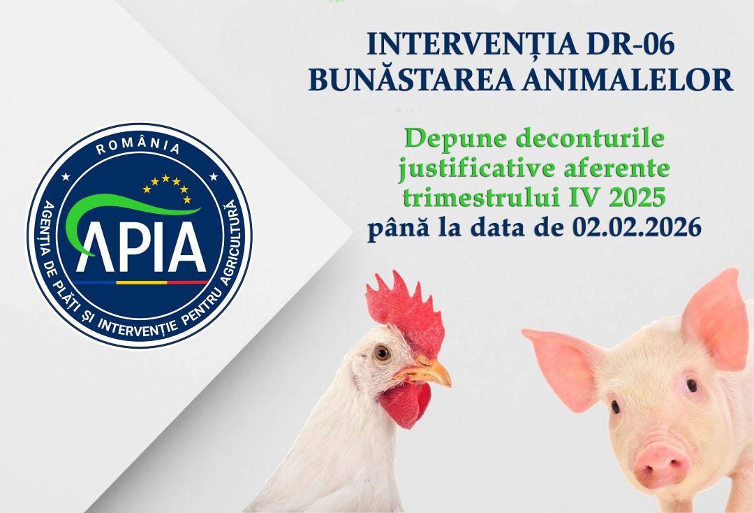 Comunicat de ULTIMĂ ORĂ de la APIA: Condiția obligatorie pentru plata subvențiilor la intervenția DR-06