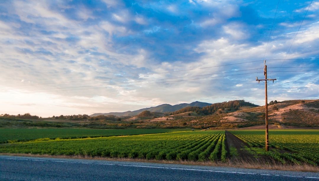 De ce pământul agricol din România a ajuns mai scump decât în Franța