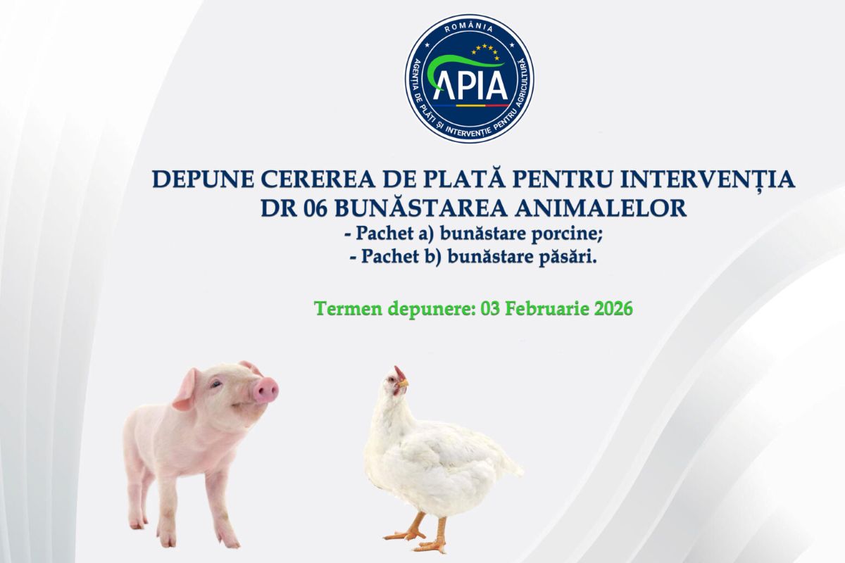 APIA primește cereri de plată pentru Intervenția DR-06 – bunăstarea animalelor