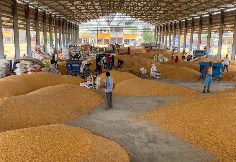 Blocaj pe piața cerealelor din România: fermierii avertizați asupra riscului major de neplată