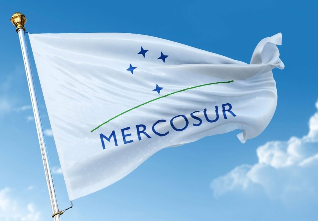 Parlamentul European a aprobat clauze de protecție pentru agricultori în contextul acordului comercial UE–Mercosur
