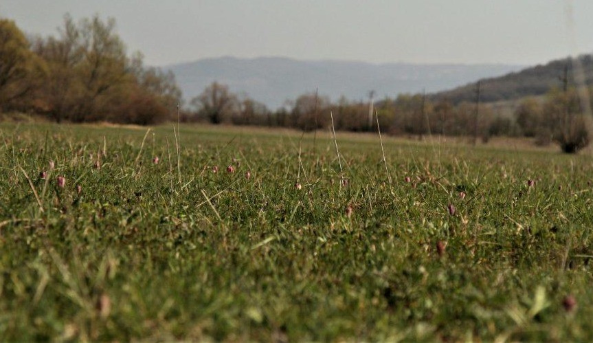 Subvenția APIA eco-schema PD-28 se ajustează la 20 €/ha pentru campania 2026