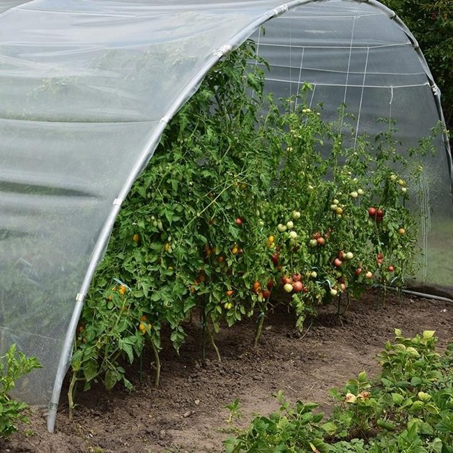 Ce seră este potrivită pentru grădinari începători?