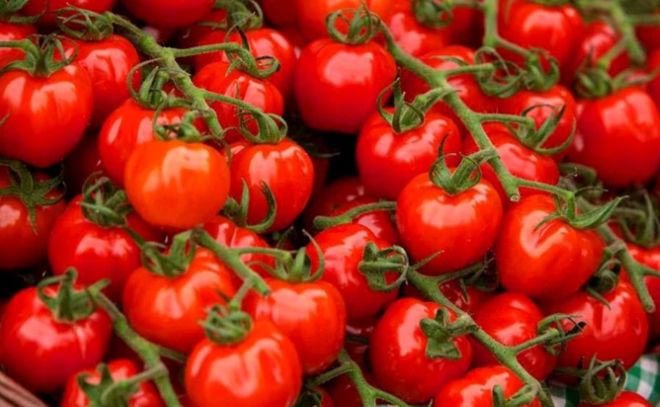 Scandal între producătorii de roșii și Comisia Europeană, pe fondul dispariției datelor privind importurile extra-UE