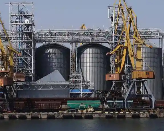 Bulgaria începe importurile de floarea-soarelui din Argentina la prețuri mai mici