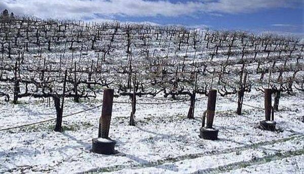 Întâmpinarea Primăverii: pragul energetic al începutului de Făurar