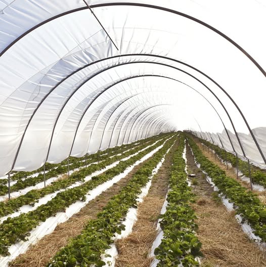 AFIR a publicat Ghidul DR-12 pentru tineri fermieri