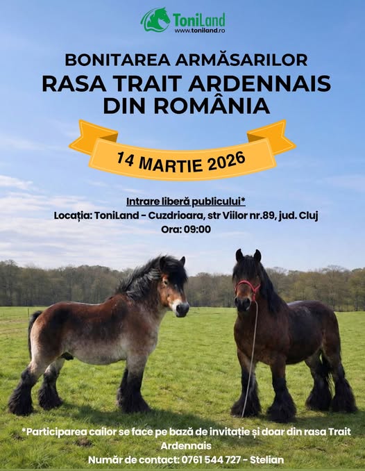 Eveniment de bonitare pentru cabalinele din rasa Trait Ardennais, organizat în județul Cluj