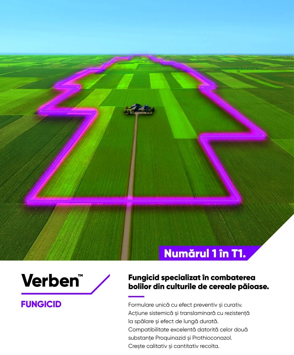 De ce aleg fermierii fungicidul Verben™ pentru protecția culturilor de cereale
