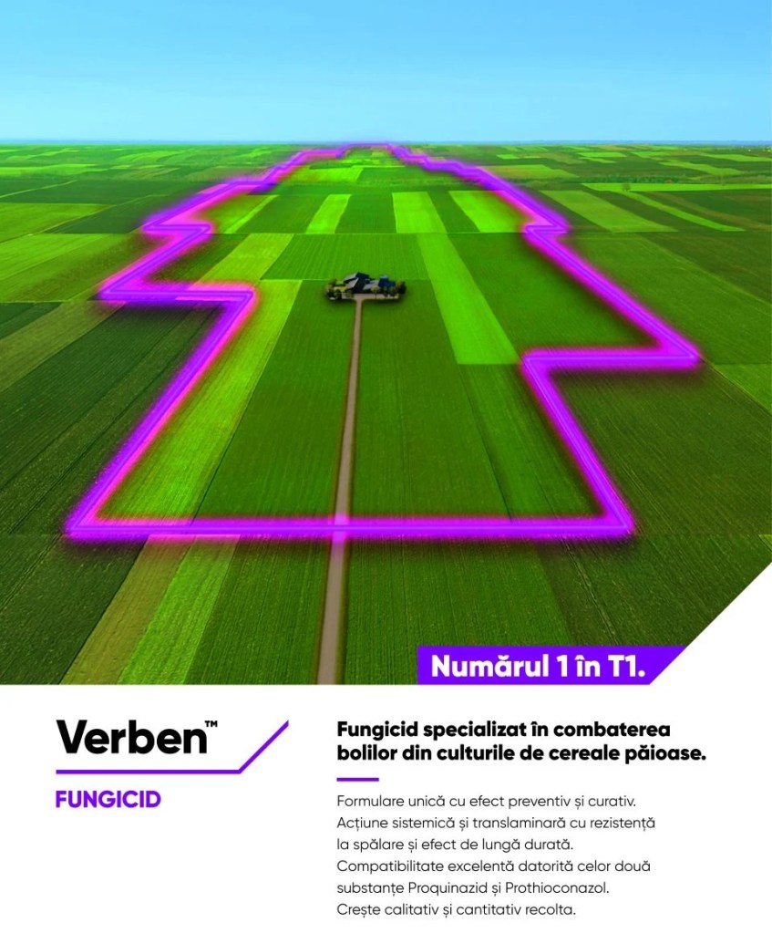 Verben, alegerea numărul 1 a fermierilor pentru T1 în cultura de grâu