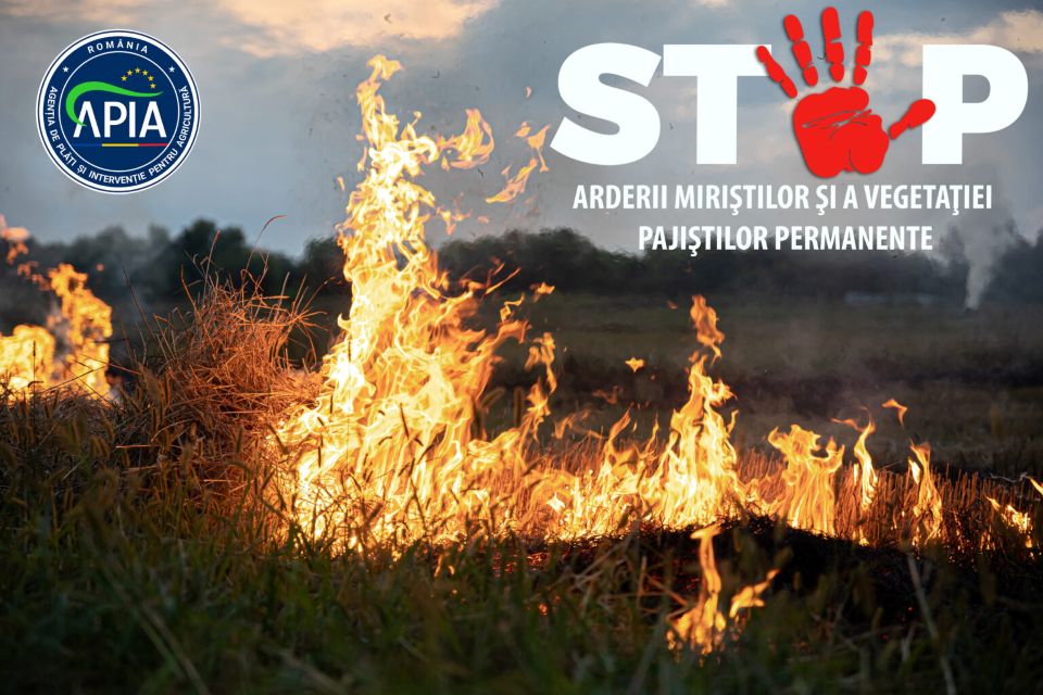 Este interzisă arderea miriştilor şi a vegetaţiei pajiştilor permanente