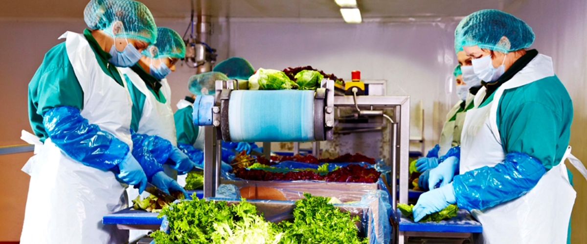 În ciuda contextului economic nefavorabil, marcat de inflație și recesiune tehnică, Eisberg România a raportat o creștere de 7% a afacerilor în cursul anului 2025