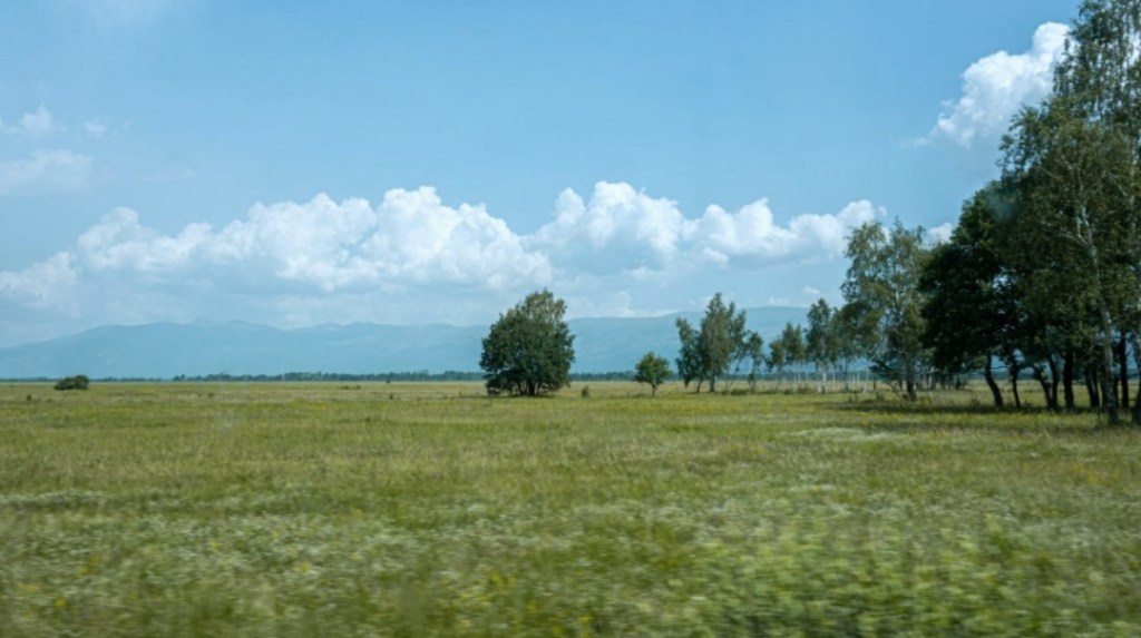 Subvenția pentru pârloagă (PD-28) ajunge în conturile fermierilor începând de luni – 9 Martie