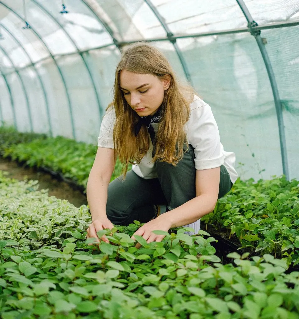 Comisia Europeană lansează o platformă pentru promovarea femeilor în agricultură