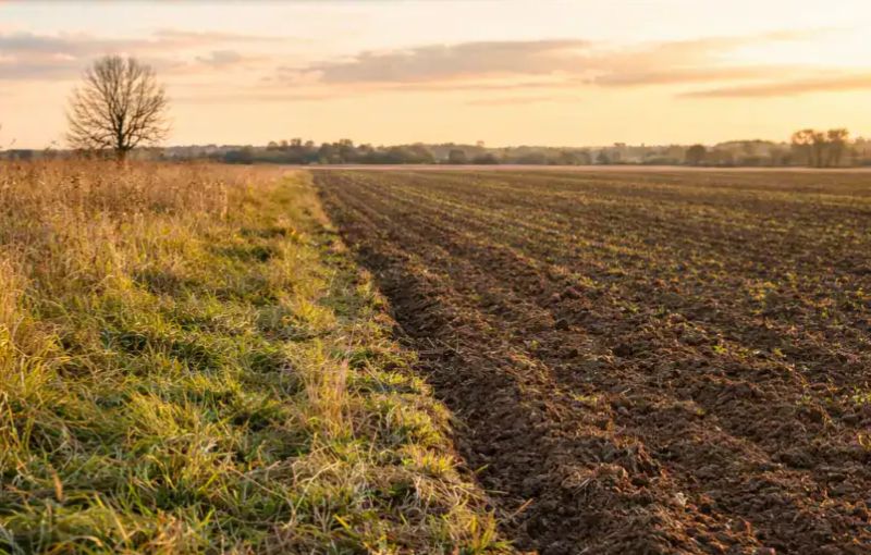 Subvenție APIA pârloagă: 40,20 euro/ha final vs. 58,18 euro/ha planificat