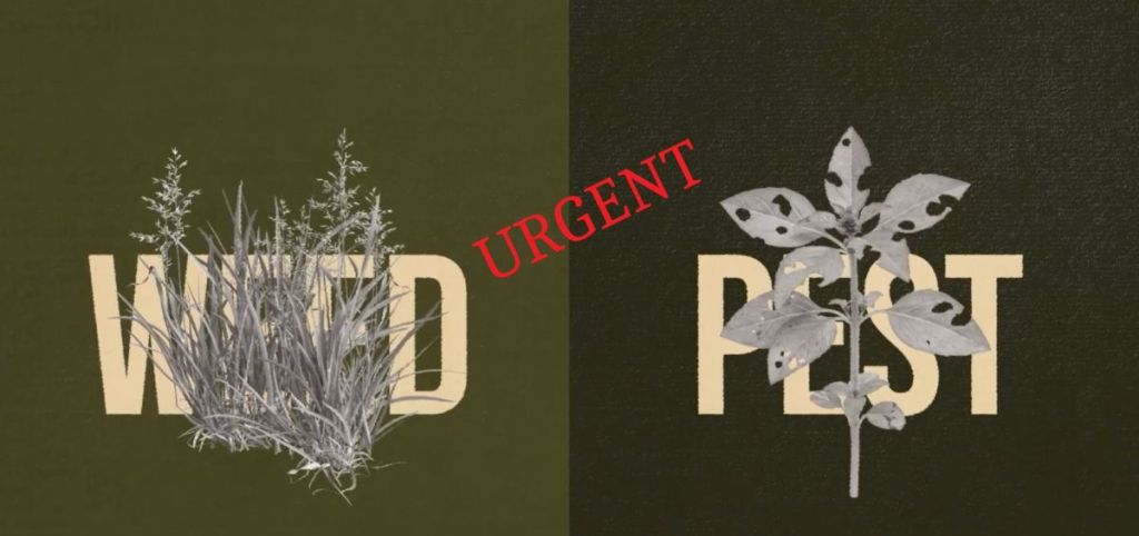 AAC solicită acordarea de sprijin financiar urgent fermelor și cooperativelor